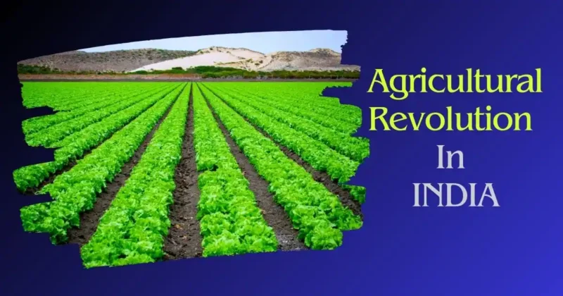 agricultural revolution in india