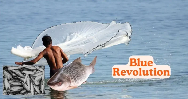 Blue Revolution