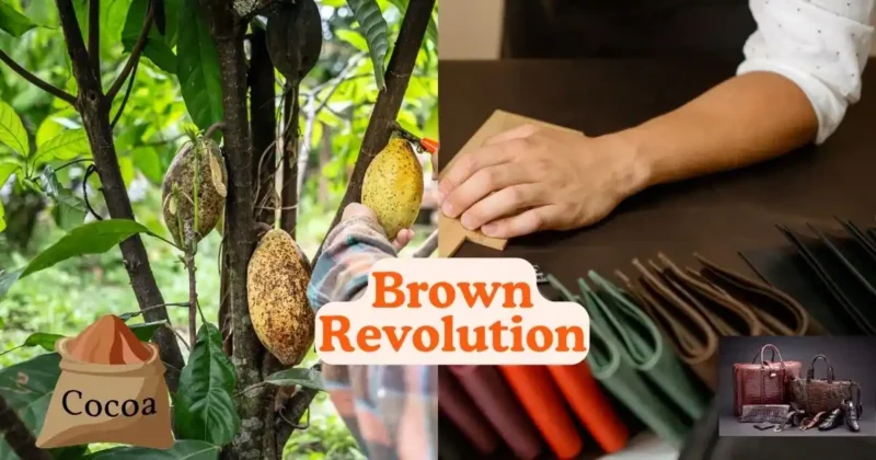 Brown Revolution