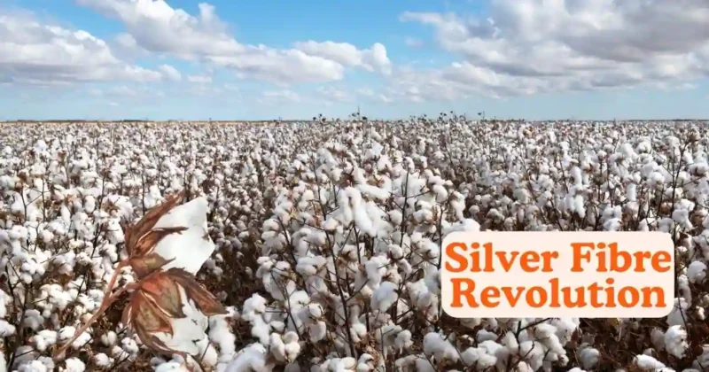 Silver Fibre Revolution