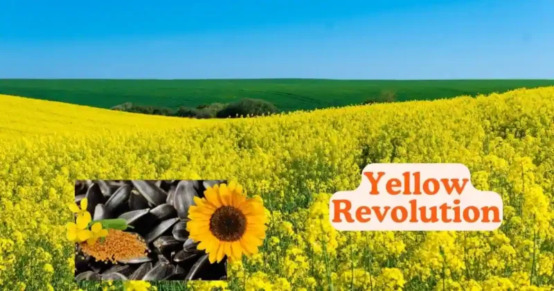 Yellow Revolution